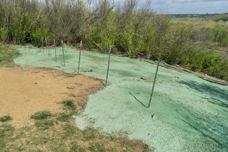 Cost of Hydroseeding — Cost of Hydroseeding