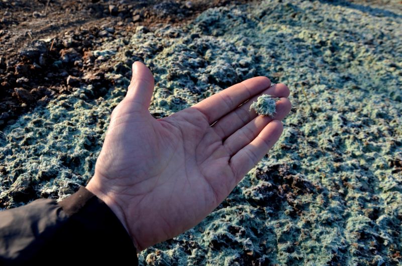 Early Spring Hydroseeding