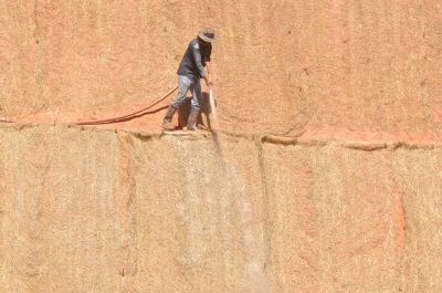 Lawn Hydroseeding, Hydroseeding, Texas